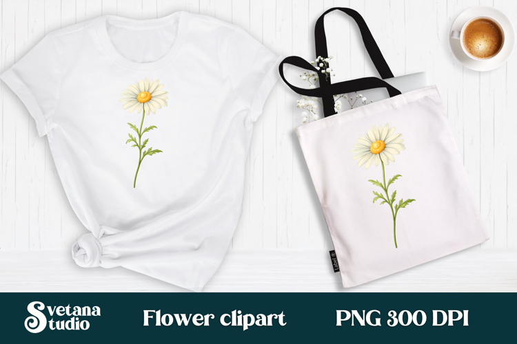 Daisy Illustration Image 18