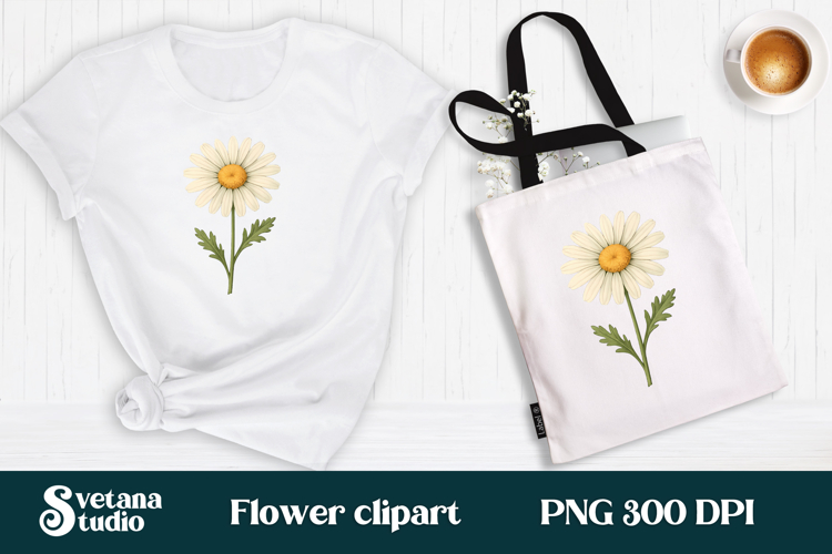Daisy Illustration Image 17