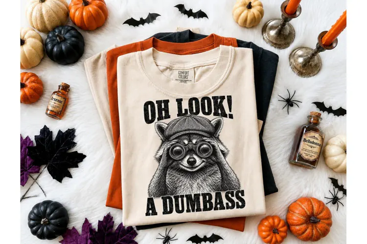 Funny Raccoon Oh Look Dumbass PNG Tee