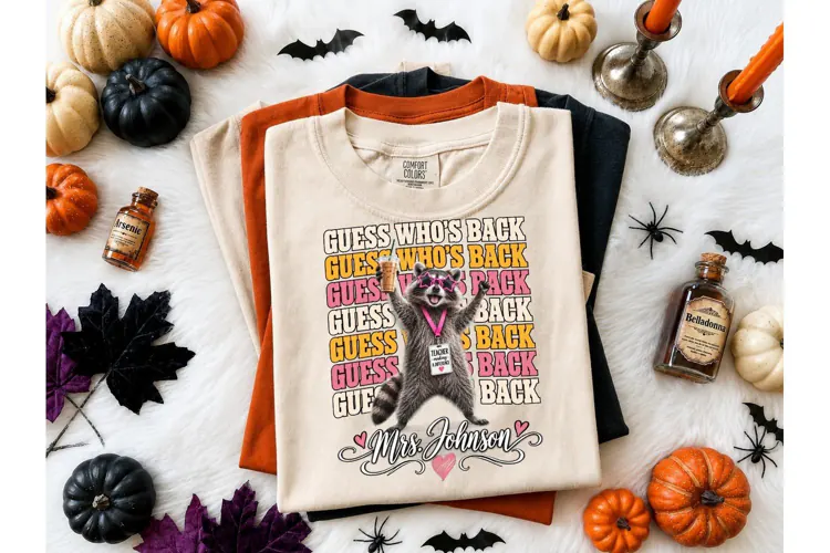 Funny Raccoon Teacher Back to School PNG