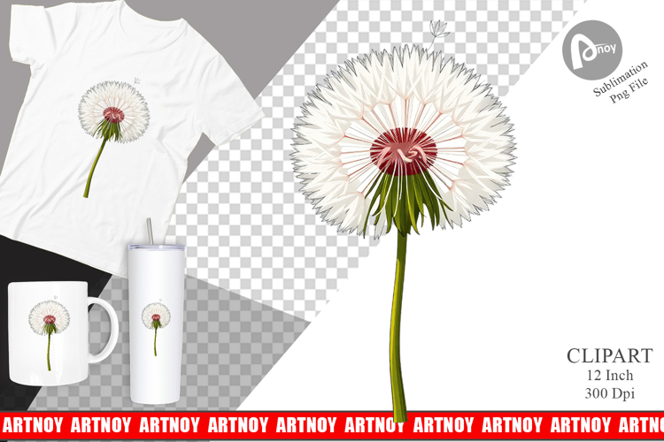 Dandelion Png Image 9
