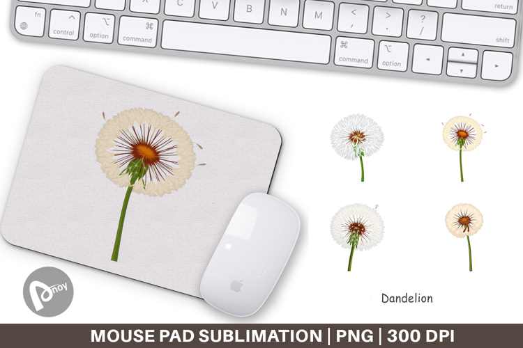 Dandelion Png Image 5