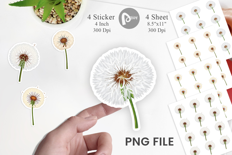 Dandelion Png Image 12