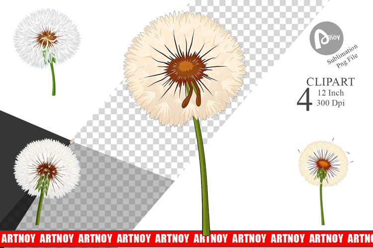Spring Dandelion Clipart