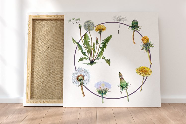 Watercolor Dandelion Life Cycle Set