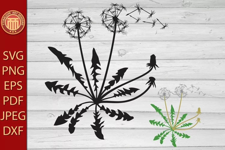Dandelion with Seeds and Leaf - eps, svg, pdf, png files
