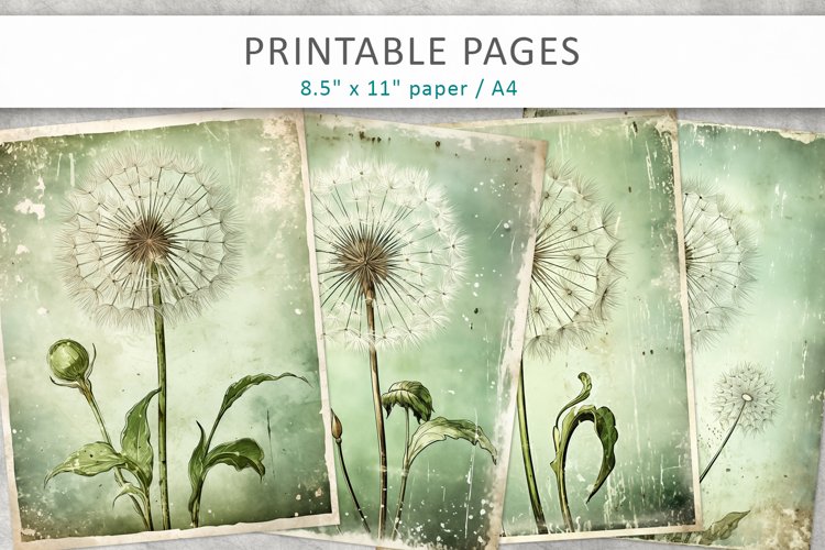 Dandelion Clipart Image 11