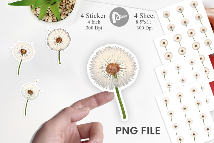 Dandelion Png Image 13