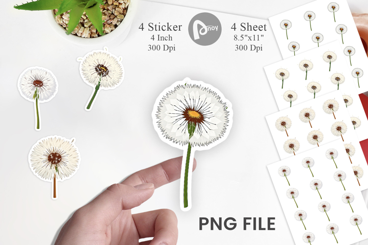 Dandelion Png Image 10