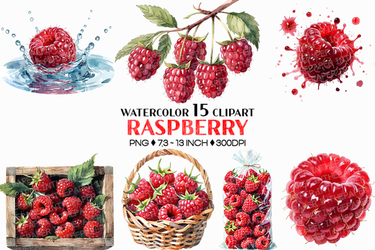 Raspberry PNG | Watercolor Fruit Sweet Juicy Summer Fresh