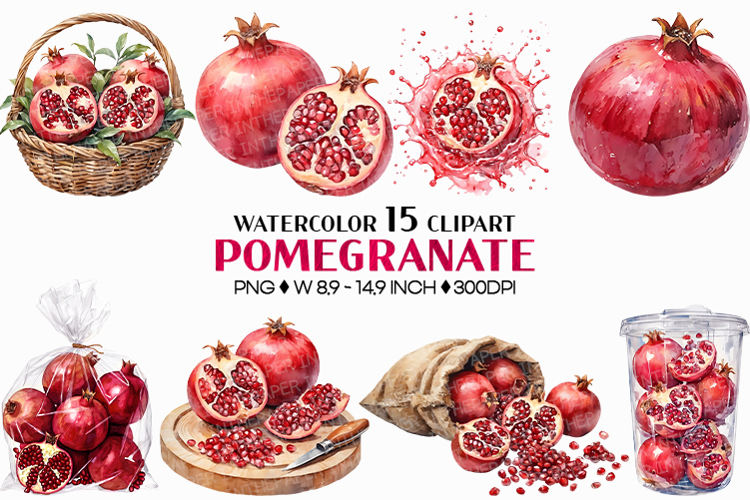 Pomegranate PNG | Watercolor Fruit Clipart Baskets Plastic