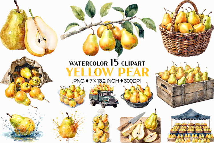 Yellow Pear | Watercolor fruit fresh harvest farm garden png