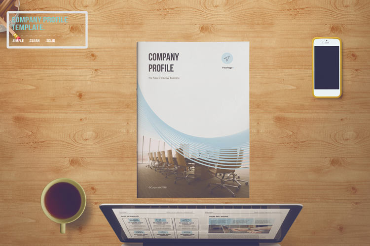 Company Profile Template | 16 Pages INDD