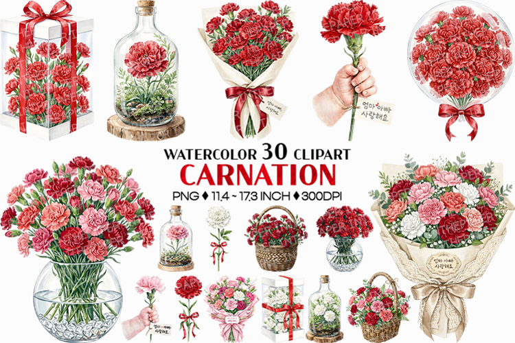 Watercolor Carnation | PNG Clipart Floral Bundle Red Pink