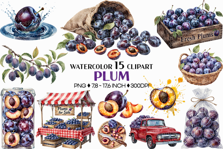 Plum PNG | Watercolor Fruit Clipart Purple Violet Splash