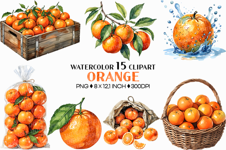 Orange | Watercolor fresh citrus fruit farm harvest png Clip