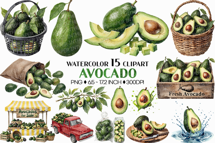 Avocado PNG | Watercolor Fruit Sweet Juicy Summer Fresh Half