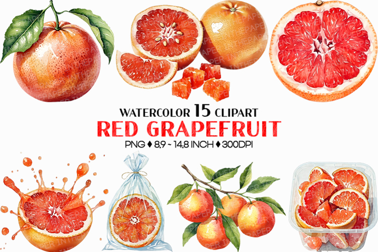 Red Grapefruit PNG | Watercolor Fruit Sweet Juicy Summer