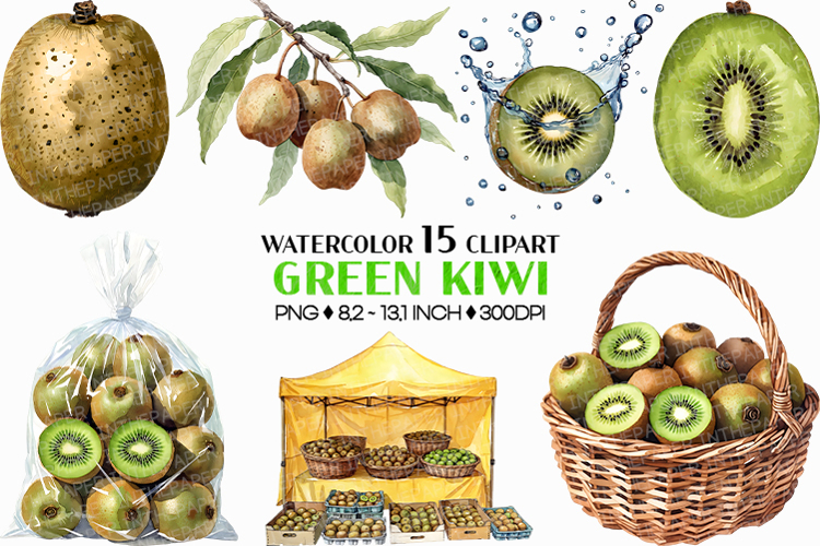 Green Kiwi PNG | Watercolor Fruit Sweet Juicy Summer Fresh
