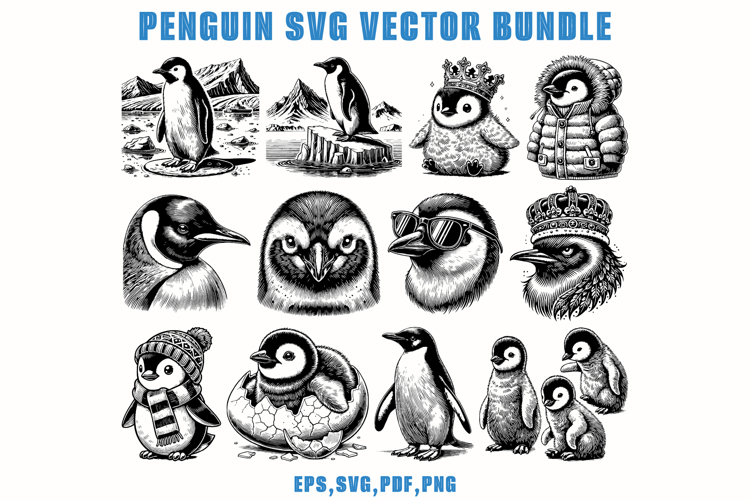 40 Penguin SVG Vector Bundle