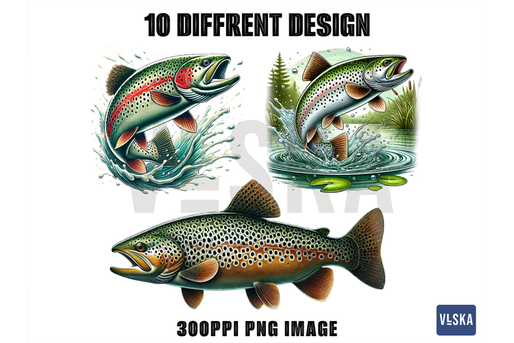 Trout Fish PNG Clipart Bundle