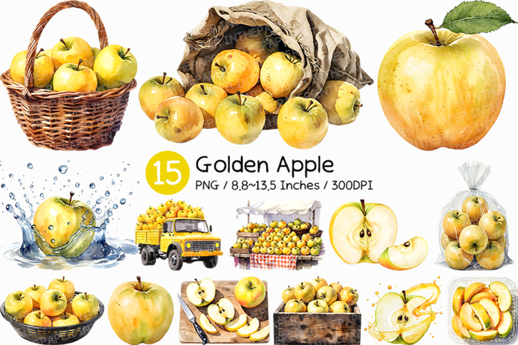 Gloden Apple | Watercolor yellow fruit fresh juicy PNG