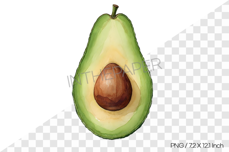 Watercolor illustration of one avocado cut in half PNG