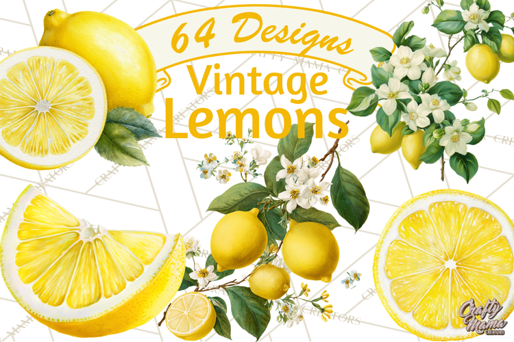 Vintage Lemon Botanical PNG Clipart, Citrus Fruit