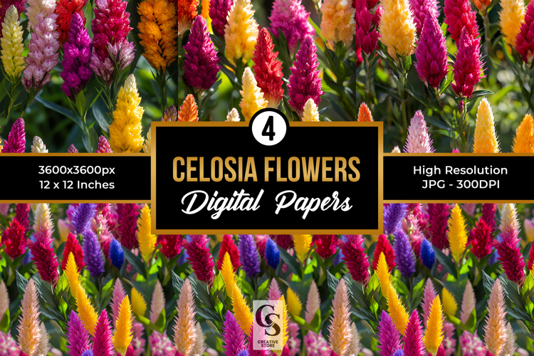 Colorful Celosia Flowers Digital Papers