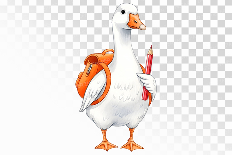 Cute Bird Drawing