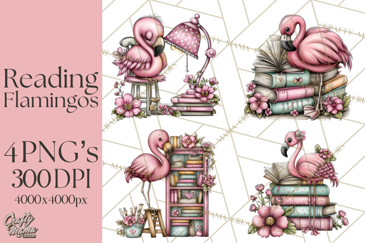 Flamingo Librarian Reading Clipart PNG