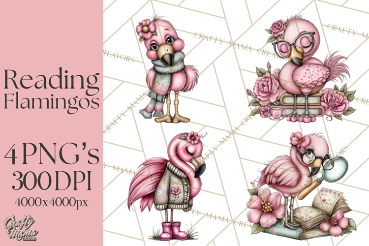 Flamingo Librarian Reading Clipart PNG