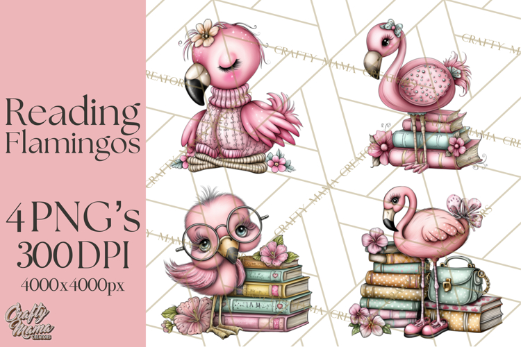 Flamingo Librarian Reading Clipart PNG