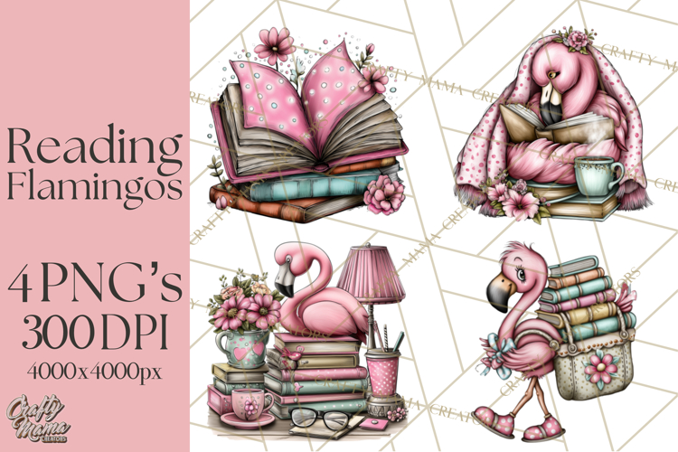 Flamingo Librarian Reading Clipart PNG