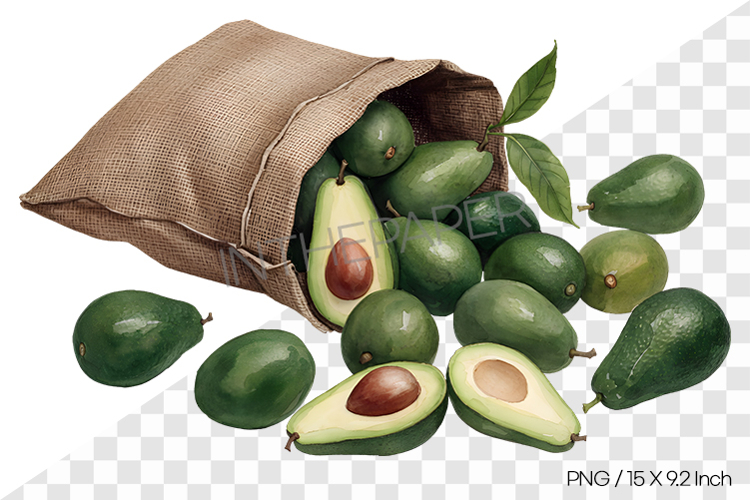 Watercolor illustration of avocados spilling from a sack PNG