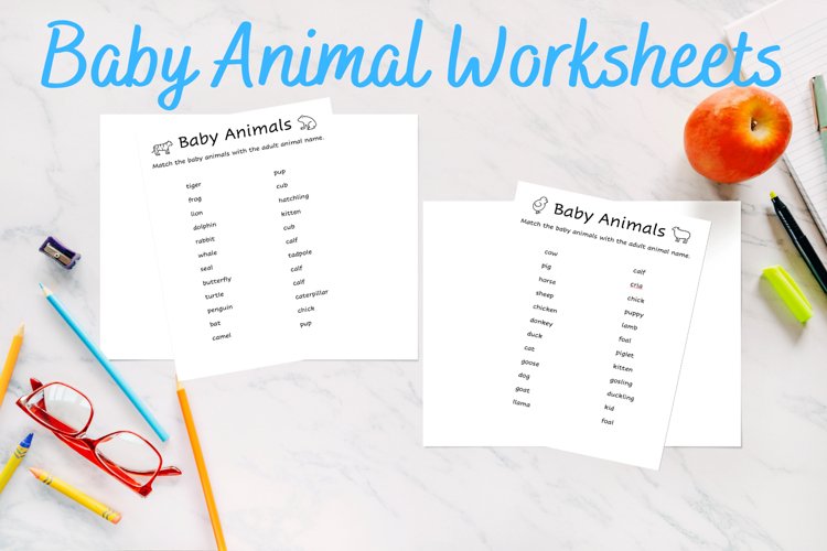 Worksheet Clipart Image 8