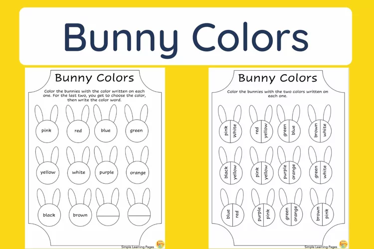Bunny Colors
