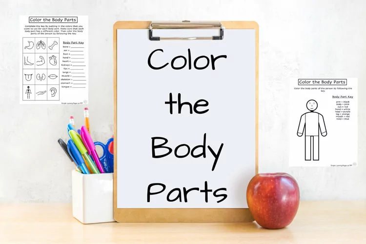 Color the Body Parts