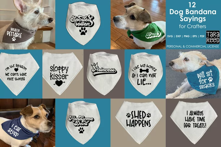 Dog Bandana Designs - Dog SVG and Cut Files for Crafters