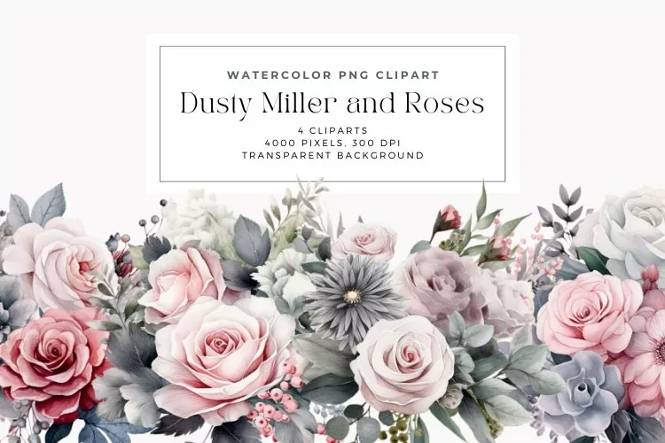 Watercolor Dusty Miller and Roses Clipart