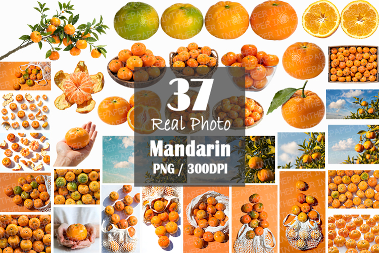 Mandarin Photo | citrus fruit photography orange tangerine
