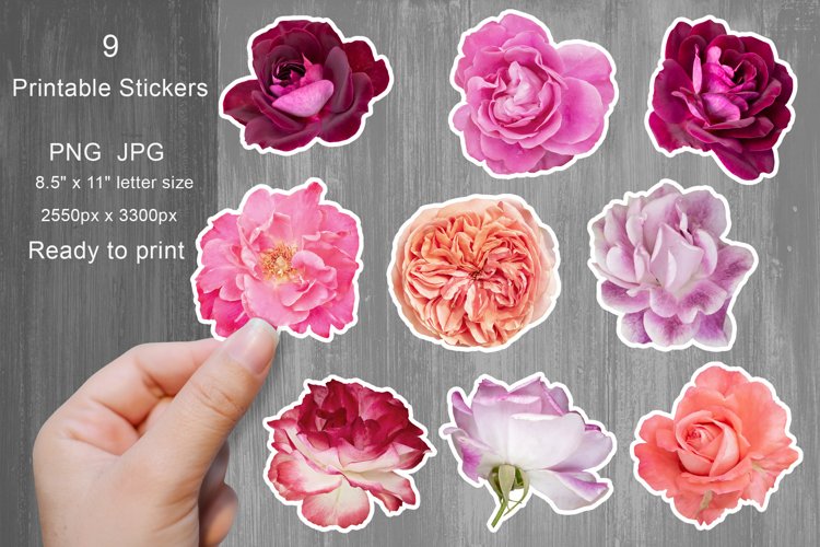 Roses Stickers. Printable Floral Design Stickers.