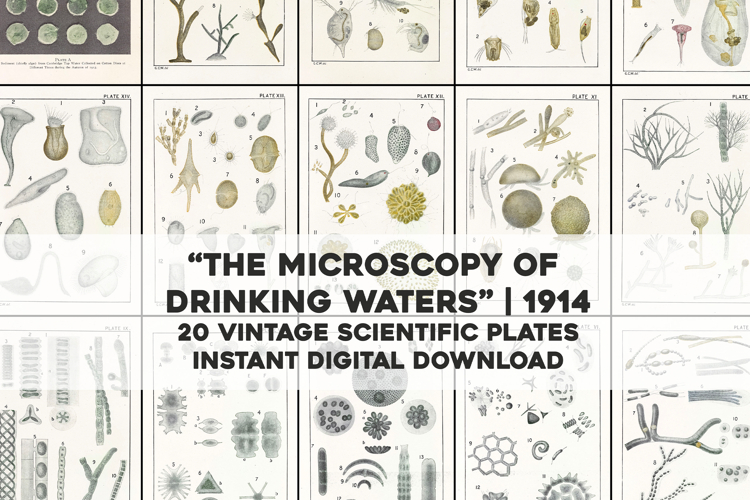 20 Vintage Scientfic Plates from an Old Book about Water
