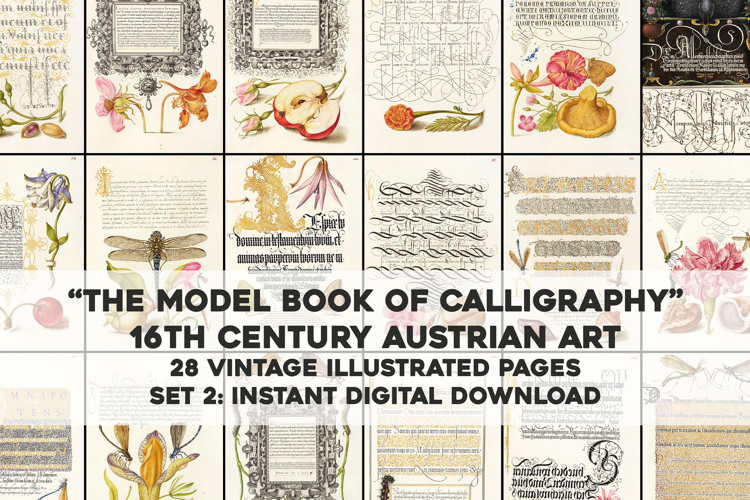 Set 2 Antique Calligraphy Design Book - 28 Unique Prints