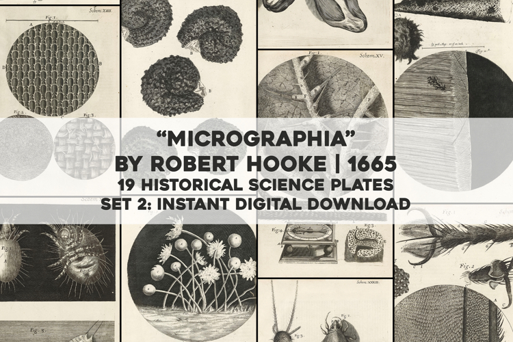19 Vintage Historic Scientific Nature Plates Set 2