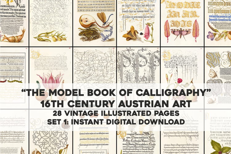 Set 1 Antique Calligraphy Design Book - 28 Unique Prints