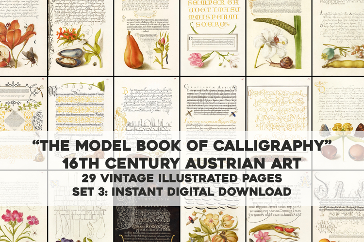 Set 3 Antique Calligraphy Design Book - 29 Unique Prints