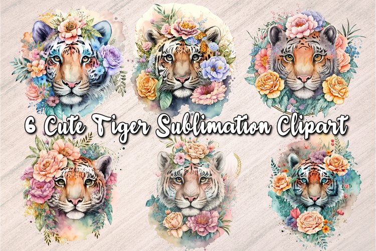 Tiger PNG Image 21