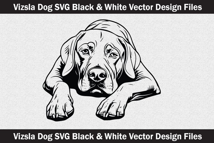 Vizsla Dog Head vector Svg file