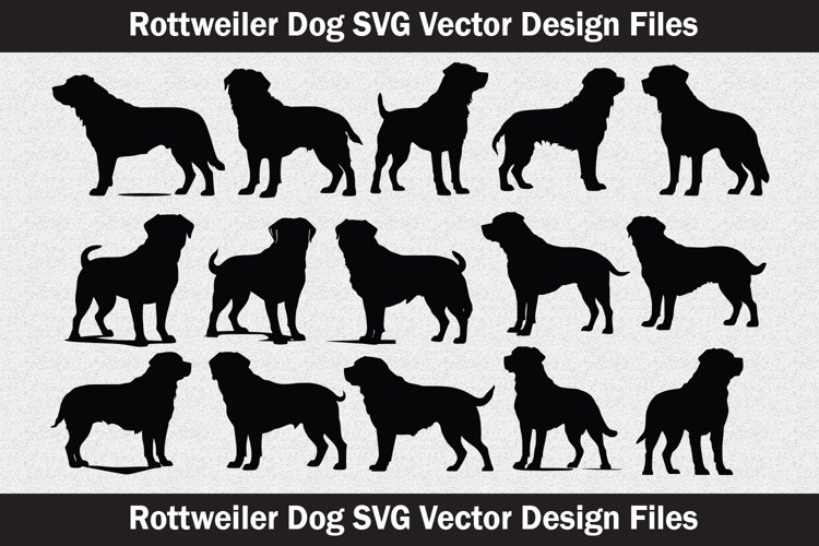 Rottweiler Dog Head vector Svg file example image 1